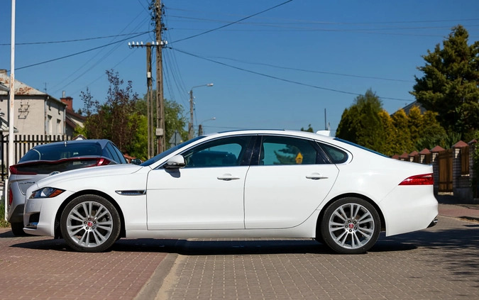 Jaguar XF cena 94000 przebieg: 56000, rok produkcji 2019 z Witkowo małe 326